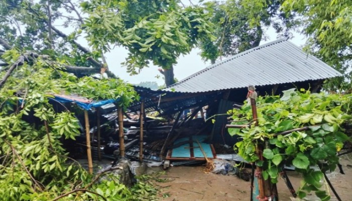 ঝড়ে বসতবাড়ির ওপর গাছ পড়ে ঘুমন্ত মা ও দুই মেয়ের মৃত্যু