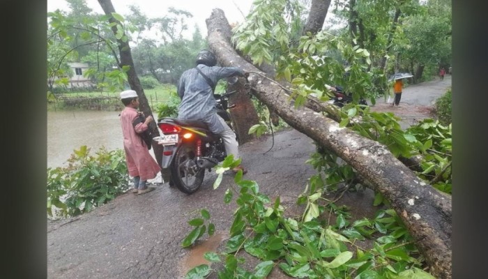 দুইদিনের টানা ঝড়ে লন্ডভন্ড কুমিল্লা