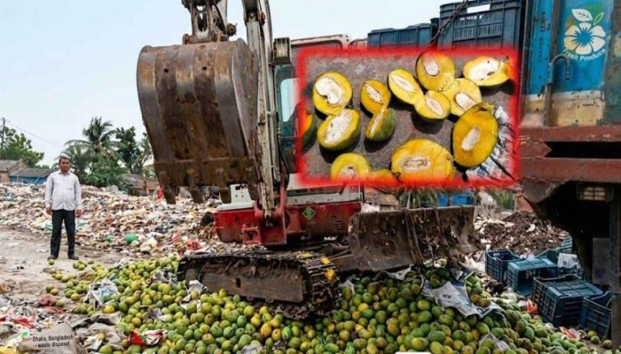 সাতক্ষীরায় কেমিক্যাল মেশানো ৯ হাজার কেজি আম জব্দ