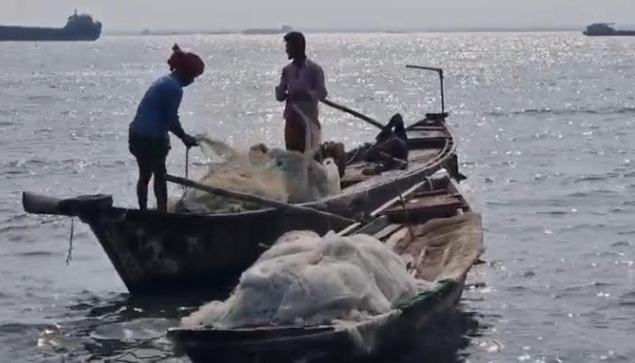দেখা নেই ইলিশের, হতাশ চাঁদপুরের জেলেরা