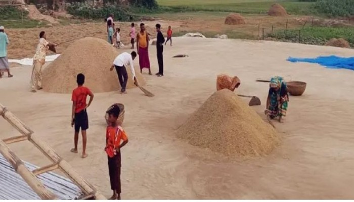 ‘ঋণ শোধ করমু না সংসার চালামু, এই চিন্তায় আছি’