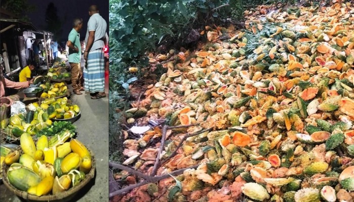 টানা বৃষ্টিতে সবজি নিয়ে বিপাকে চাষিরা