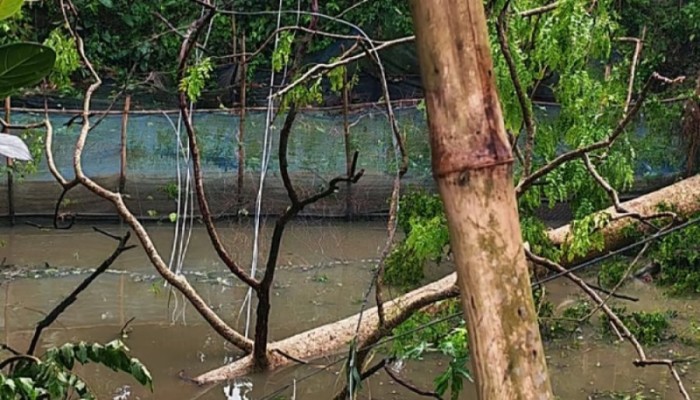 বিদ্যুৎহীন জয়পুরহাটের ৭৫ গ্রামবাসী