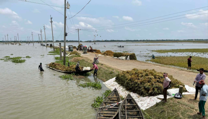 হাওরাঞ্চলের ৭ নদীর পানি এখনও বিপৎসীমার উপরে