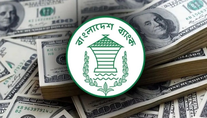 দেশের বৈদেশিক মুদ্রার রিজার্ভ নিয়ে বড় সুখবর
