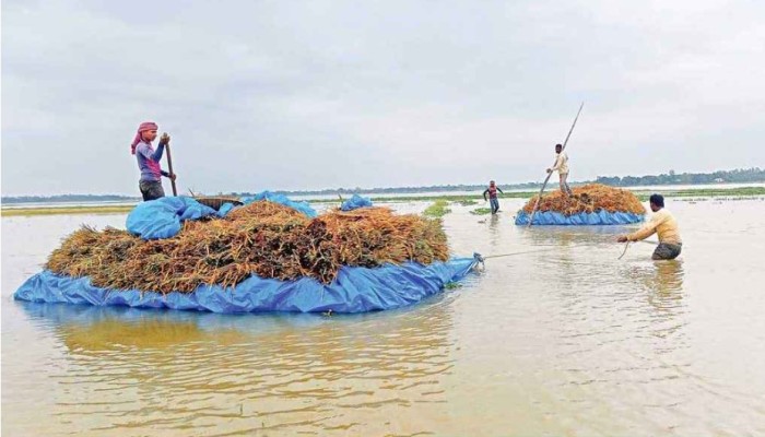 ৩ জেলার হাওরাঞ্চলে বন্যা পরিস্থিতির উন্নতি