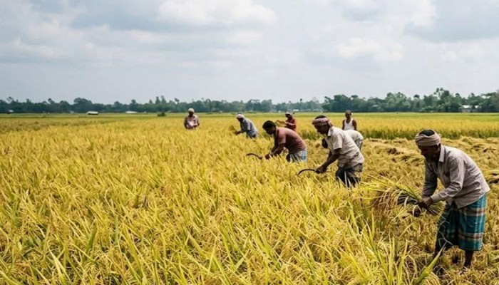 দক্ষিণের কৃষকদের মহাকর্মযজ্ঞ