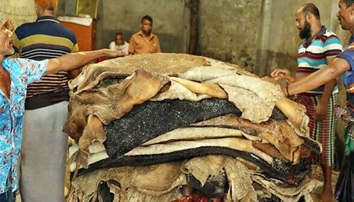​কোরবানির পশুর চামড়ার দাম নির্ধারণ
