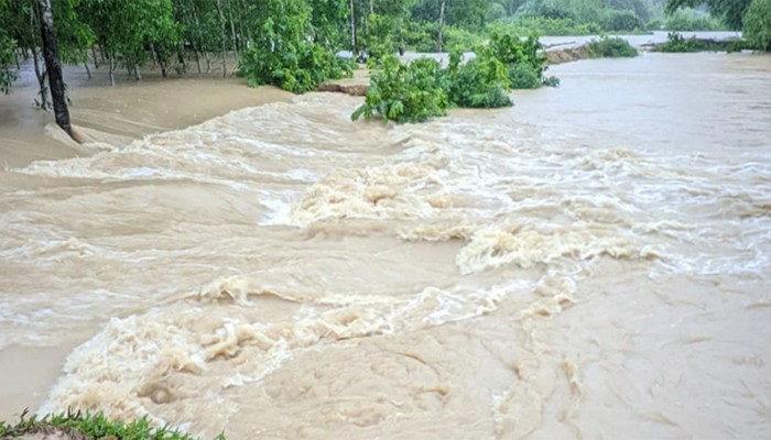 ​নদীর বাঁধ ভেঙে প্লাবিত ২০ গ্রাম, দুশ্চিন্তায় কৃষকেরা
