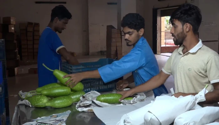 বাংলাদেশে সবজি রপ্তানিতে মন্দা