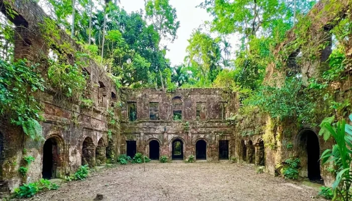 জমিদার বাড়িতে বসে মাদকের হাট!