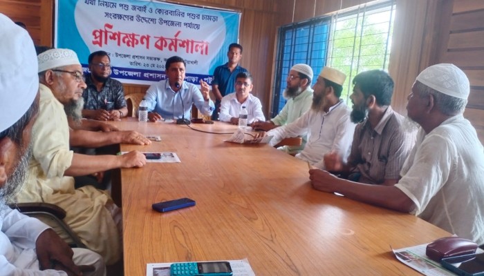 কোরবানির পশুর চামড়া সংরক্ষণের উদ্দেশ্যে কলাপাড়ায় প্রশিক্ষণ কর্মশালা
