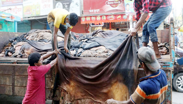 কোরবানির চামড়ার সুষ্ঠু ব্যবস্থাপনায় কন্ট্রোল রুম চালু