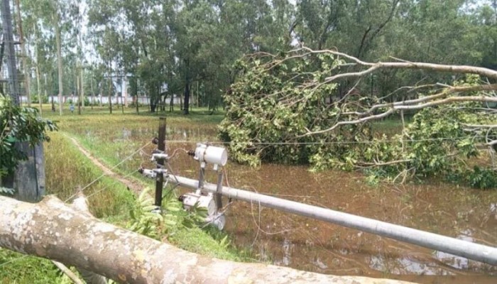 বিদ্যুৎহীন শেরপুরের অর্ধশত গ্রাম