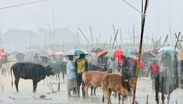 ঈদের দিন ভারি বর্ষণের আভাস: দুশ্চিন্তায়  কোরবানিদাতারা