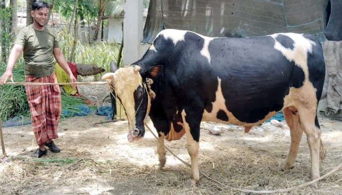 ভয়ংকর ‘বাদশা বাবু’র গন্তব্য এখন ঢাকায়
