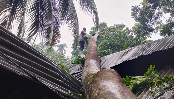 ​কালবৈশাখীর তাণ্ডব, বিদ্যুৎহীন বরিশালের পাঁচ উপজেলা
