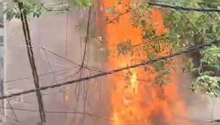 দিল্লির হোটেলে ভয়াবহ আগুন, নিহত ২১