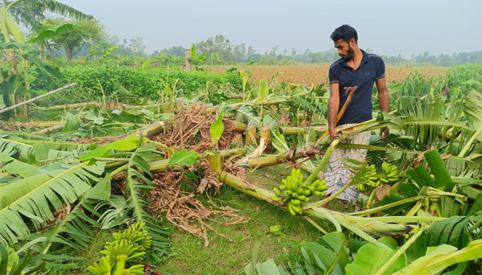 ​এ কেমন শত্রুতা!