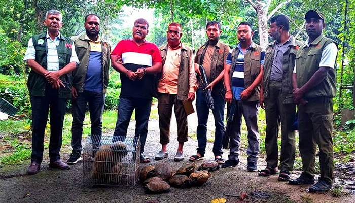 ​চকরিয়ায় ‘পাচারের জন্য রাখা’ একাধিক বন্যপ্রাণী উদ্ধার, একজন গ্রেপ্তার