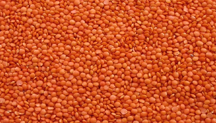 ​১০ হাজার টন মসুর ডাল কিনছে সরকার