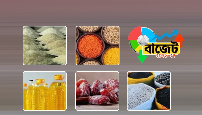বাজেটে শুল্ক-কর হ্রাসে যেসব পণ্যের দাম কমতে পারে