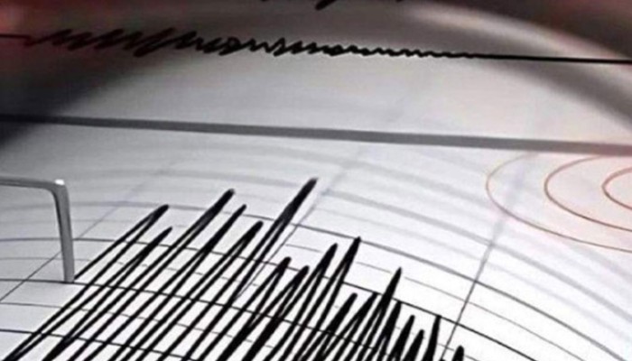 ফের ভূমিকম্পে কাঁপল দেশ
