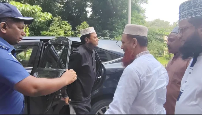 আত্মসমর্পণ করলেন আমির হামজা