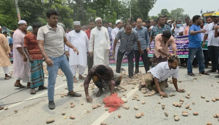 মহাসড়কে আলুর বৃষ্টি!