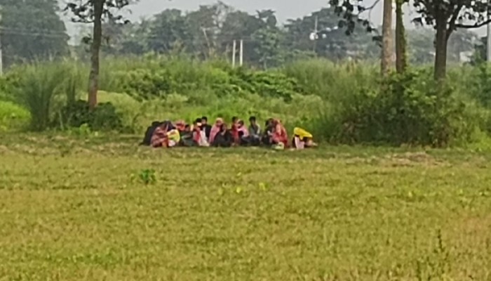 চাঁপাইনবাবগঞ্জে সীমান্ত দিয়ে ২০ জনকে পুশইনের চেষ্টা বিএসএফের