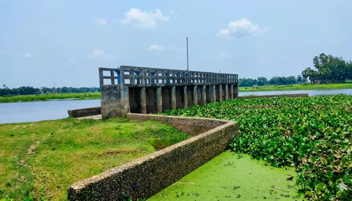 ২ কোটি টাকার স্লুইসগেট এখন কৃষকের গলার কাঁটা