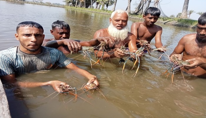 মাছ চাষে সেরা পাঁচে বাংলাদেশ