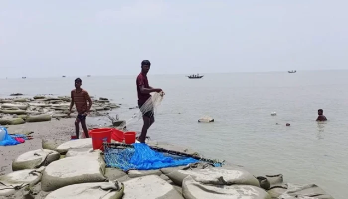 চিংড়ির রেণুপোনা পাচারের রমরমা বাণিজ্য, হুমকিতে মৎস্যসম্পদ