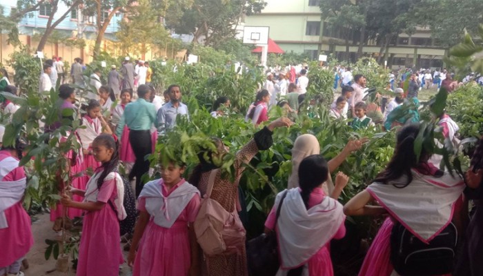 শিক্ষার্থীদের নিয়ে সবুজ মিশন : ‘একটি শিশু, একটি বৃক্ষ’ কর্মসূচি