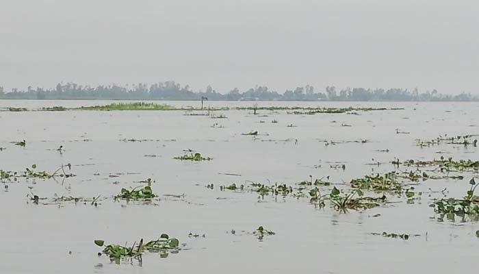 কুড়িগ্রামে তিস্তার পানি হু হু করে বাড়ছে