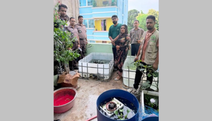 রাজধানীতে ১,১০৪ বিদেশি বন্যপ্রাণী উদ্ধার; গ্রেপ্তার ১