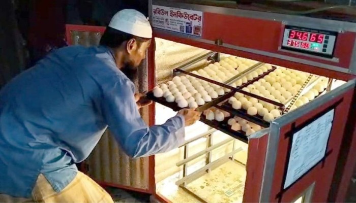 ইনকিউবেটর পেয়ে স্বপ্ন পূরণ কলাপাড়ার ইমাম হোসেনের