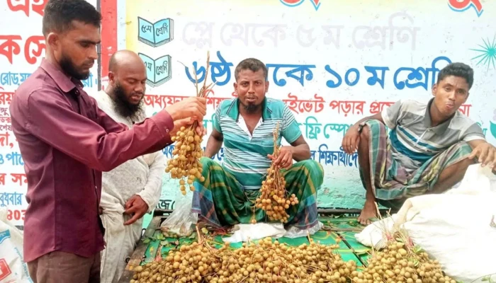 কাঠ লিচুর কদর বাড়ায় আগ্রহী হচ্ছেন চাষিরা
