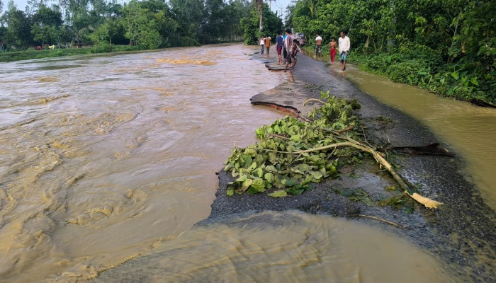 শেরপুরে ঢলের পানিতে  বিধ্বস্ত সড়ক