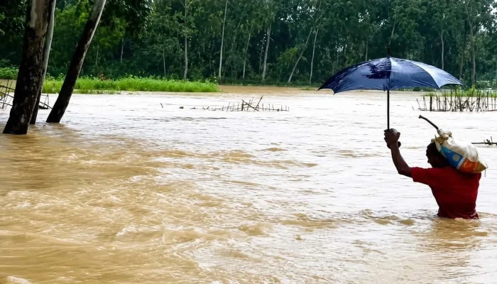 চট্টগ্রামে মৎস্যে ক্ষতি শতকোটি, ভুক্তভোগী ১০ হাজার চাষি