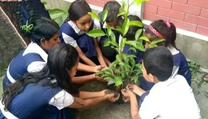 ১৫ জুলাই সব সরকারি প্রাথমিক বিদ্যালয়ে বৃক্ষরোপণের নির্দেশ