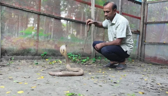 সাপের বিষে শত কোটি ডলার আয়ের সম্ভাবনা