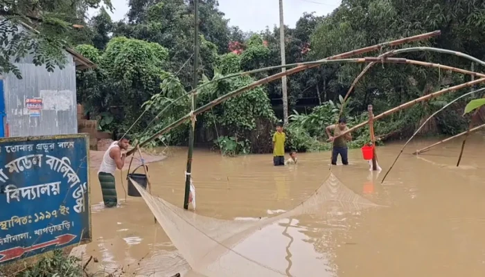 বন্যায় মৎস্যে ক্ষতি আড়াই কোটি:  বিপাকে খাগড়াছড়ির মাছচাষিরা