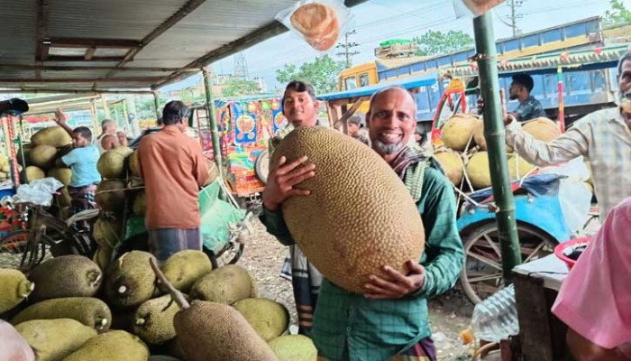 ১ মণের কাঁঠালের দাম ৬০০ টাকা