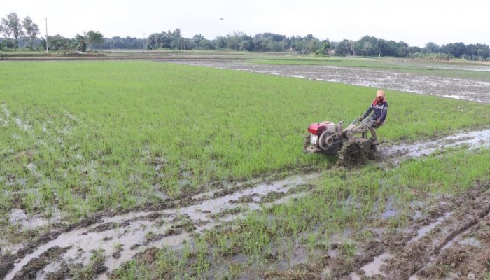 মহা সংকটের মুখে বরেন্দ্র অঞ্চল: পাঁচ দশকে বৃষ্টিপাত কমেছে ৩৪ শতাংশ
