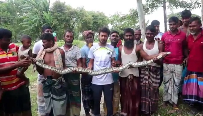 কুড়িগ্রামে লোকালয় থেকে ১০ ফুট লম্বা অজগর উদ্ধার