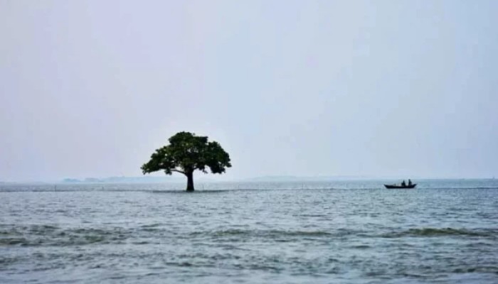 হাওরে ডুবে গেলো অতিরিক্ত যাত্রীবোঝাই নৌকা, নিখোঁজ ৪