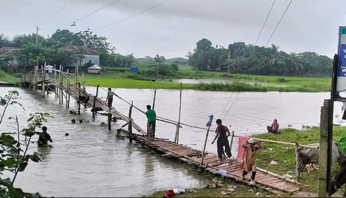 ফরিদপুরে নড়বড়ে সাঁকো দিয়ে ঝুঁকি নিয়ে পারাপার, দুর্ভোগ