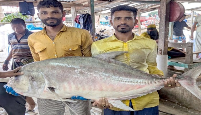 জেলের জালে ধরা পড়ল ৫৪ কেজির তবল মাছ