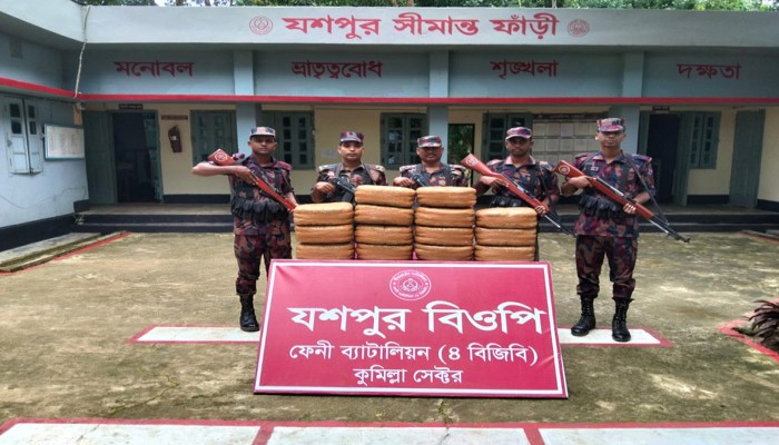 ছাগলনাইয়া সীমান্তে ভারতীয় গাঁজা জব্দ করল বিজিবি